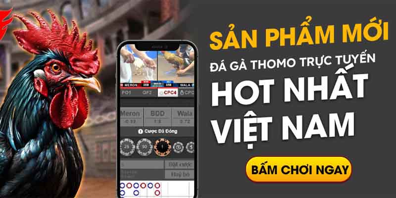 Hỗ trợ và tư vấn chuyên nghiệp